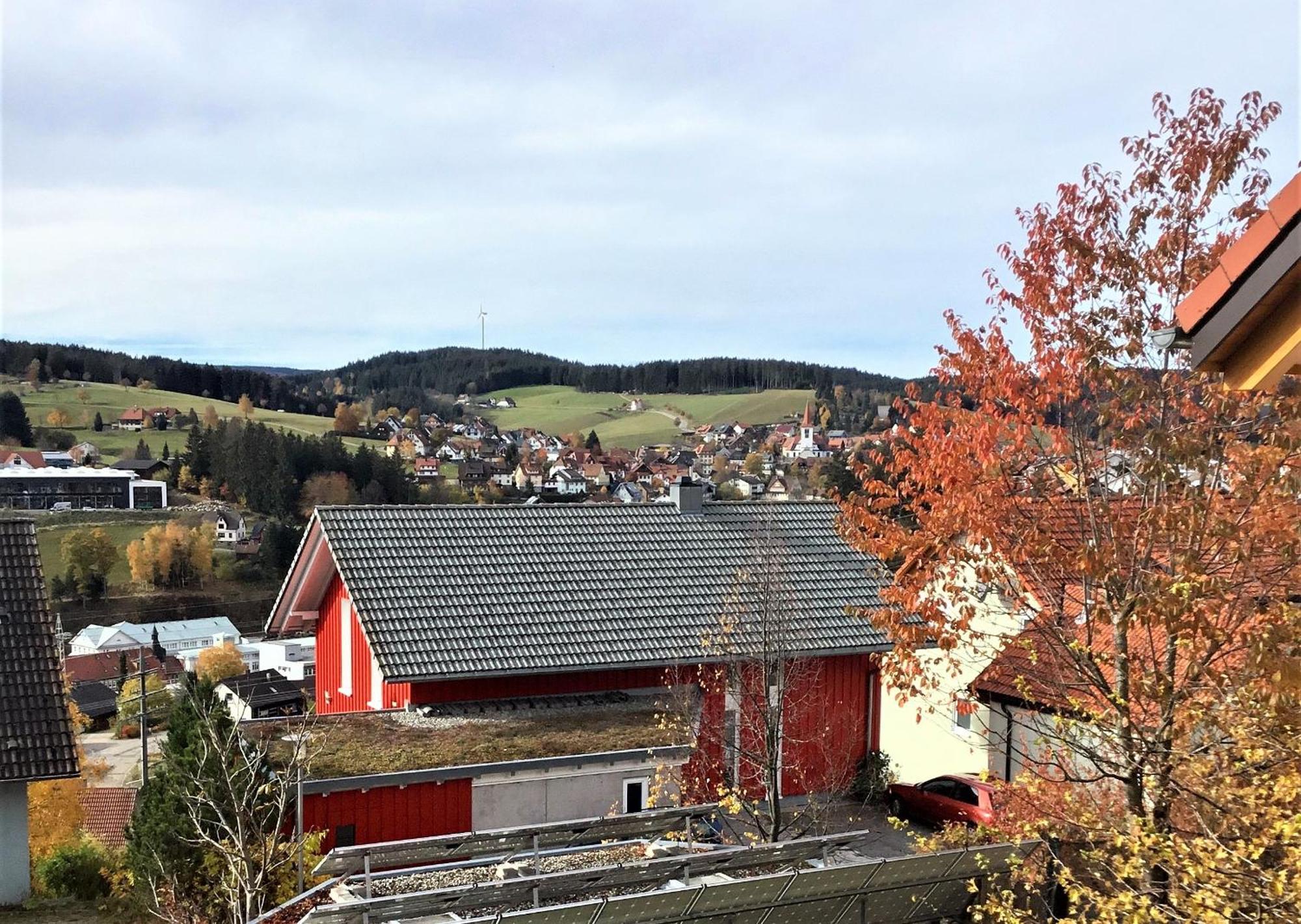 Schonach im Schwarzwald Alexander Feiss 아파트 외부 사진